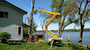 9 Reasons When Tree Removal Services Become Essential